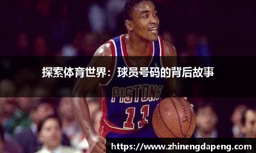 oety欧亿体育